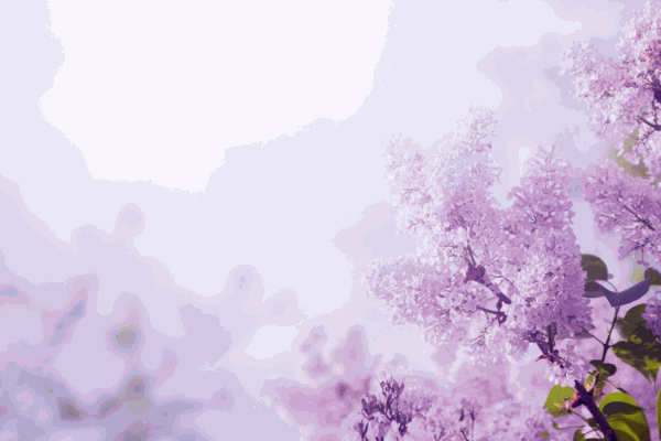 emlékhely a kertben-orgona bokor