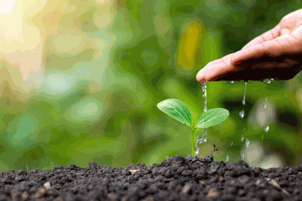 környezetbarát temetkezés