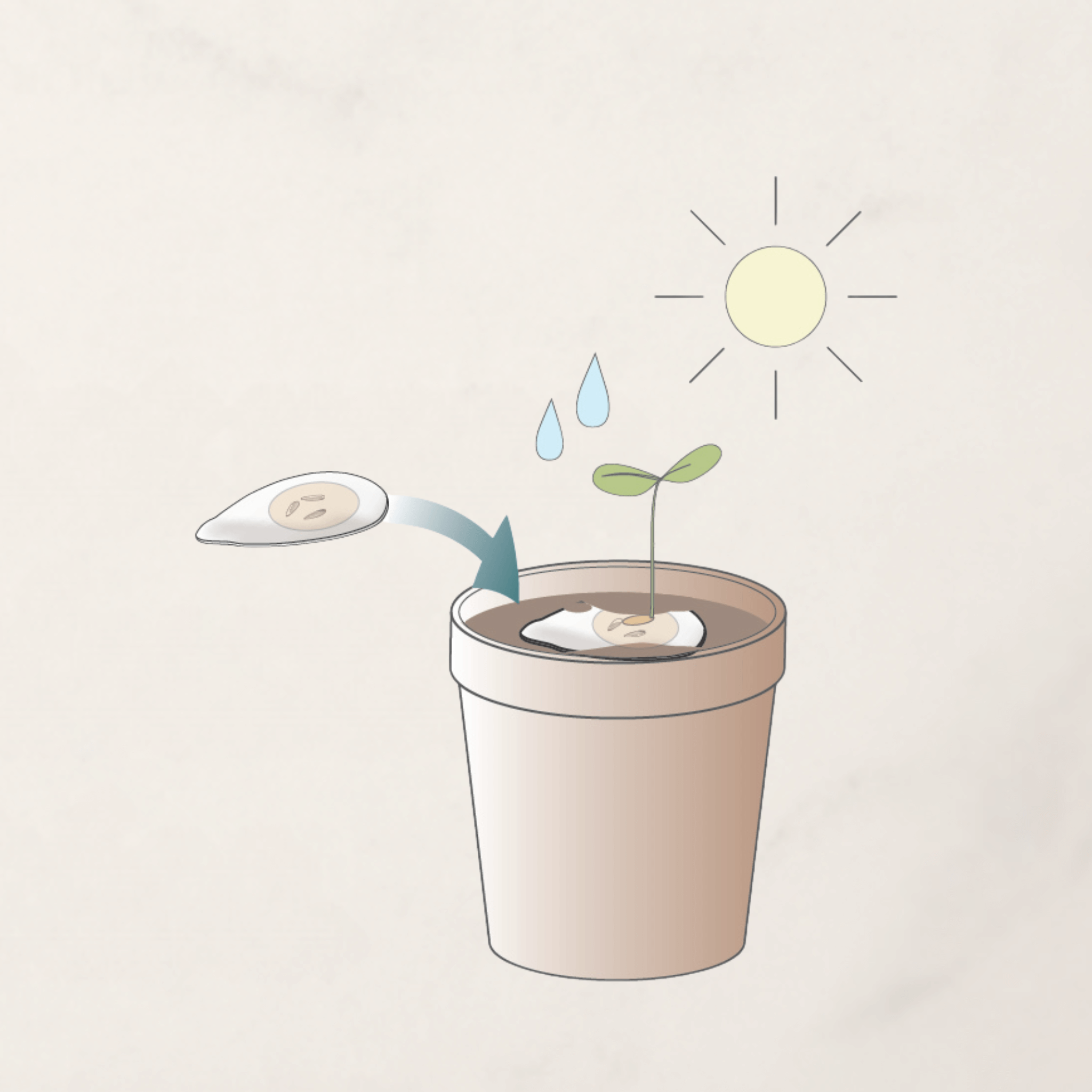 bio urna mag csíráztatás