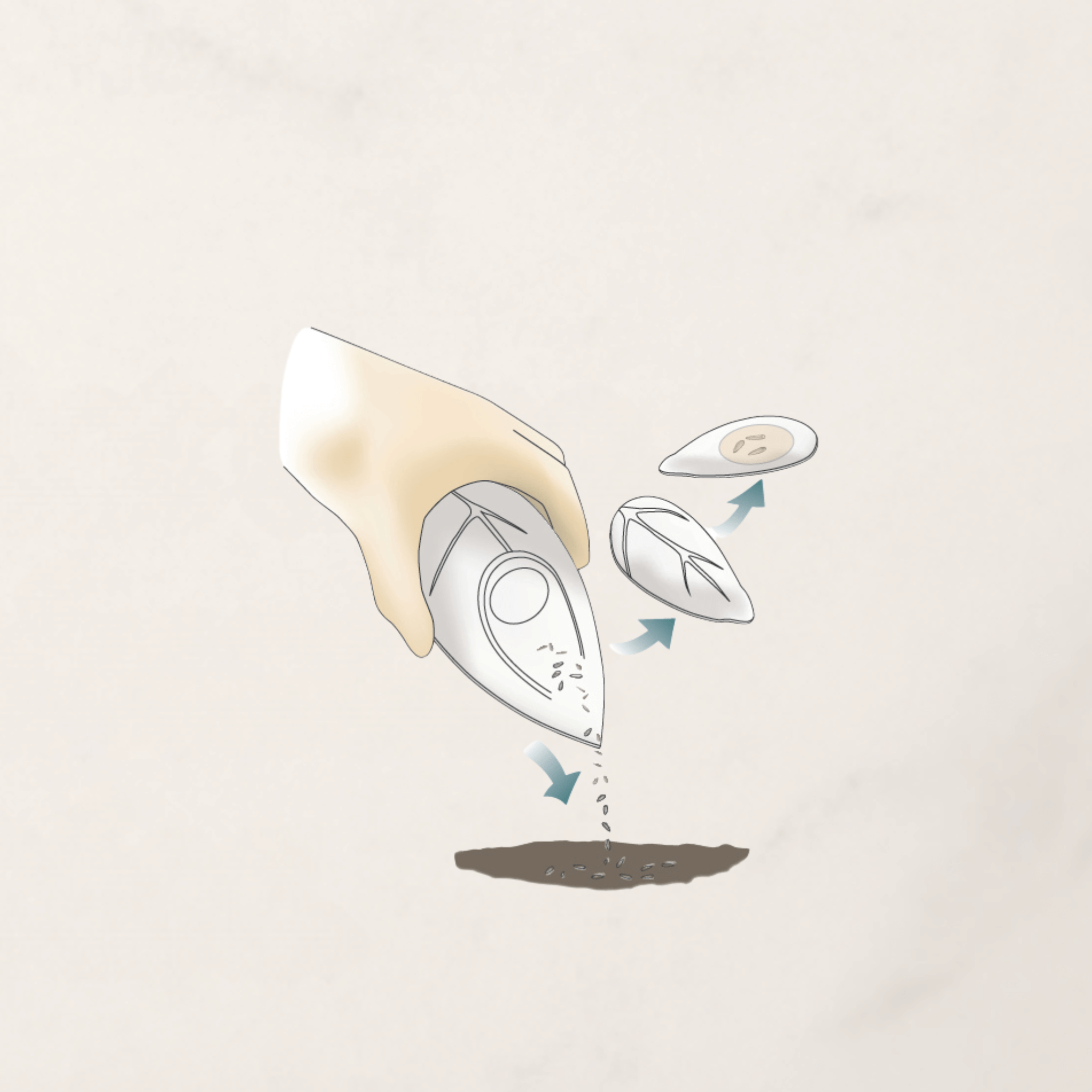 bio urna mag ültetése