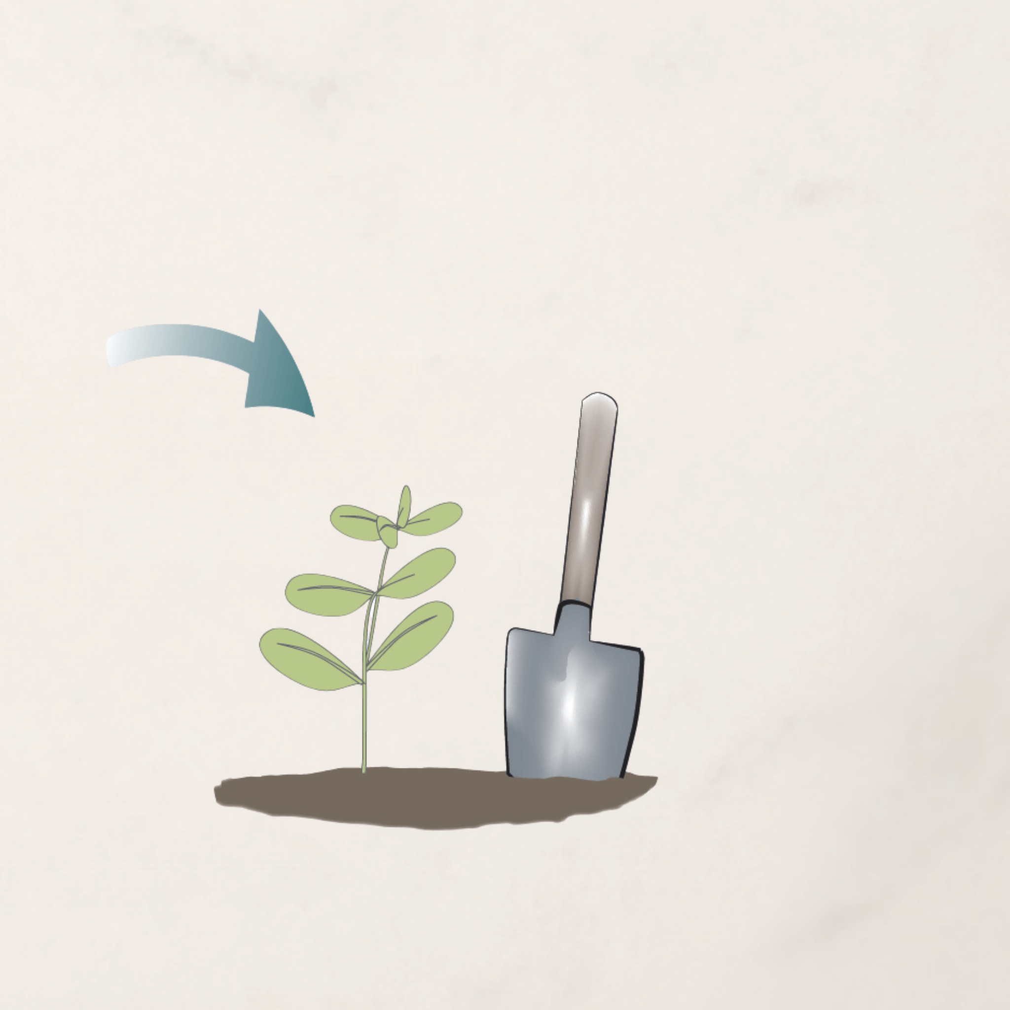 bio urna cserje ültetés